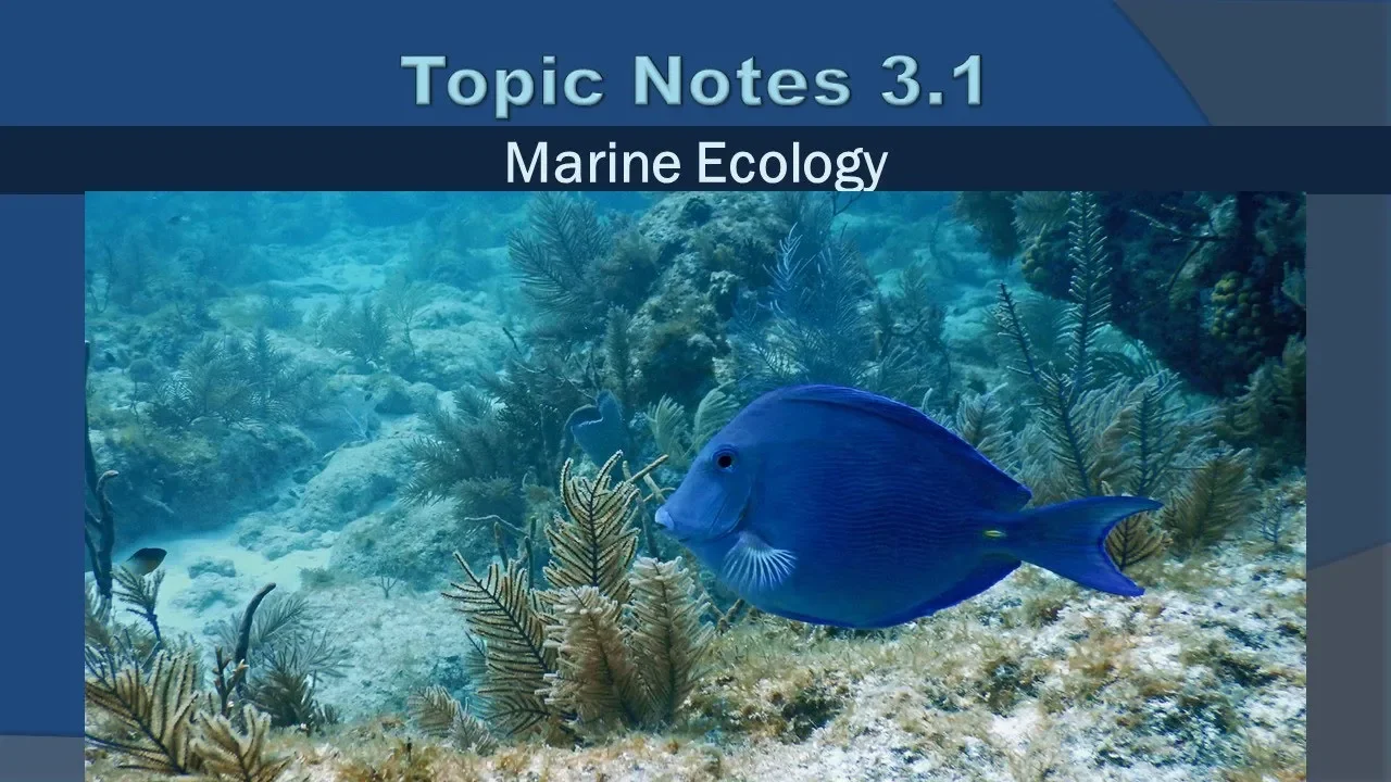Topic Notes 3.1 - Marine Ecology - 2019