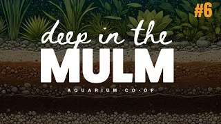 Deep in the Mulm Podcast Ep. 6