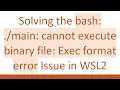 Solving the bash main cannot execute binary file Exec format error Issue in WSL2