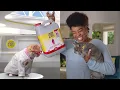 Tidy Cats Don t Get Litterback - Get LightWeight