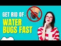 How To Get Rid Of Waterbugs In House Fast Natural Home Remedies - Top Repellents