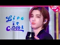 Download Lagu [최초공개] BOYNEXTDOOR(보이넥스트도어) - l i f e i s c o o l (4K) | BOYNEXTDOOR TONI3HT | Mnet 240415 방송