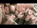 احمد خالد - سيباني لمين ( بدون موسيقى )