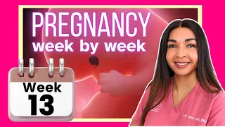 13th Week of Pregnancy Pregnancy Week by Week