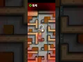 crazy assasins