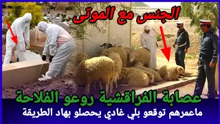 عصابة الفراقشية مافعلوه يندى له الجبين كيفاش فكو الدرك هاد اللغز المحير كيفاش حصل تحريات قصص بوليسية 