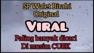 Download Suara Panggil Walet Birahi 100% asli paling banyak dicari MP3