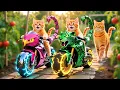 Mama Cat Trims Fur on the Farm and Makes Tiger Hat For Kittens At Home