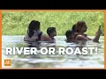 Arizona heat wave pushes crowds into Yuma s Colorado River