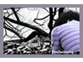 Real-Life Stories - Cyberbullying