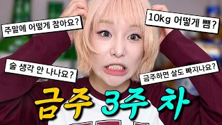 금주 3주차 썰 