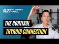 The Cortisol Thyroid Connection Dr Stephen Cabral