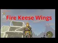 TOTK Fire Keese Wings
