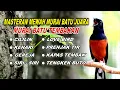 Lagu 🔴 LIVE 08 - Masteran Murai Batu Pagi Hari Full Isian Cocok buat Murai trotol dan pastol