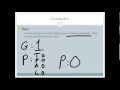 Gravida and Para Interpretation Made Simple