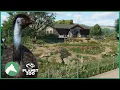 Emu Habitat Elm Hill City Zoo Planet Zoo
