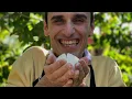 Download Lagu Pane Vivo: Bring Back Real Sourdough Bread