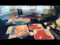 HOW I RAW FEED MY ROTTWEILER 2023