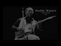 Muddy Waters – Live in Chicago 1979