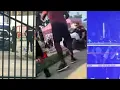 CHAOS As 3 Separate Mass Shootings Send Victims in Virginia Kentucky and Chicago Running for Cover