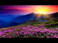 Download Lagu DJ Gard - Wonderland (Prada Mix) [Trance Nature]