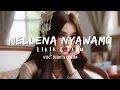 Download Lagu MELLENA NYAWAMU || LIRIK \u0026 LAGU BUGIS || Cover Dianty Oslan