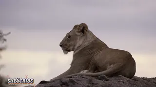 አስናቀ አሰፋ እኔ ሰው አምናለሁ Asnake Asefa Ene Sew Amnalehu New Ethiopian Music September 2024 