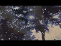 Bon-Psy - Order Visualizer