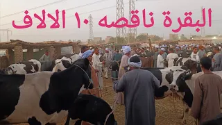 أنخفاض أسعار البقر الوالد والعشر والحلاب بسوق السبت اليوم ١٨ ١٠ ٢٠٢٥م 