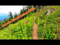Download Lagu Von Staufen im Breisgau auf die Etzenbacher Höhe | tolle Wanderstrecke