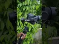 Download Lagu Camera Love 🤩 | Dji Gimbal | #shorts #shortsindia