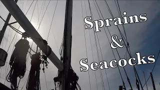 Want to See my Seacock? | Sailing Wisdom [S3 Ep33]