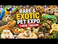 T-REX 5 Thailand 2026 Asia s Largest Exotic Pet Expo in Bangkok 4K R