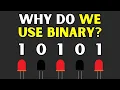Why do we use Binary 0s and 1s