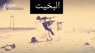 برض المعارك ننتخي 