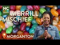 Merrill Mischief - Morganton NC North Carolina Weekend