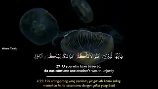murottal al quran surah an nisa 29 74 muhammad al ghazali