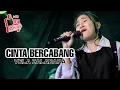 Lagu CINTA BERCABANG || VELA ZALADARA || DANGOL || ANNIVERSARY KE 2
