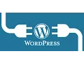 Custom CSS Doesn t Work in WordPress How to Fix It