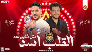 جديد   القلب أسد   مش شايف حد    محمد بيكا   عادل صانوه   توزيع جديد   شعبي      دندنها
