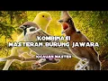 Download Lagu Masterannya burung juara...kombinasi gereja tarung, cililin dan kenari