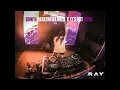 Download Lagu Duniya Haseeno ka Mela x It's not Right | RAY | Afro House