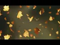 Falling Autumn Leaves Background Loop
