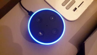 Alexa Answers Digimon Wikipedia