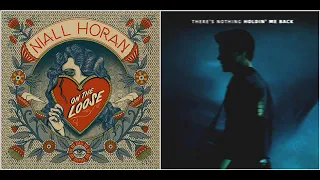 Download Niall Horan X Shawn Mendes - On The Loose X There's Nothing Holdin' Me Back (Mashup) MP3