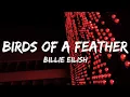 Download Lagu Billie Eilish - BIRDS OF A FEATHER (Lyrics)
