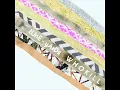 tUnE-yArDs - Bizness