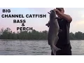 19lb CHANNEL CATFISH HUGE PERCH BASS