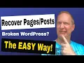 How to Recover Pages or Posts from a Broken WordPress Website Right from the Database