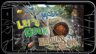 Let s Cook Enduro Stew